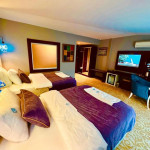 Twin Room with Balcony