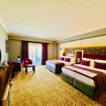 Deluxe Double or Twin Room with Balcony