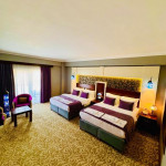 Deluxe Double or Twin Room with Balcony