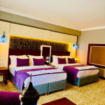 Deluxe Double or Twin Room with Balcony